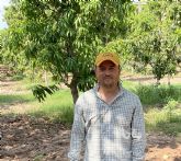 La gestin eficaz del cultivo del mango: Principal aliado para hacer frente a plagas y enfermedades