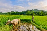 Laos, la joya desconocida del Sureste Asitico, muestra sus tesoros