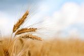 Agroseguro incluye la posibilidad de un 5% de bonificación al contratar el seguro de cultivos herbáceos