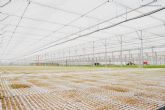 Un semillero mejora la calidad de vida de sus plantas y sus trabajadores gracias a sus nuevas instalaciones