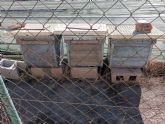 El Cifea de Lorca forma en el manejo de colmenas a profesionales del sector agrario, agroalimentario y forestal