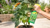 Insecticida Natural. Jabón Potásico Neudosan® RTU para plantas hortícolas y ornamentales sin plagas