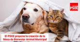 Se crear la Mesa de Bienestar Animal municipal tras la aprobacin de la propuesta del Grupo Socialista