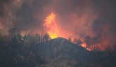 CONSUMUR pide que se adopten medidas urgentes para la prevención de incendios forestales