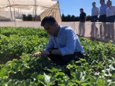 El Centro de Demostración Agraria de San Javier imparte doce ensayos en variedades de agricultura ecológica y en abonado ambiental