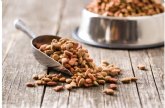 Revisi�n de 31 estudios concluye que los alimentos veganos para perros y gatos tienen buena digestibilidad