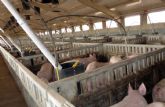 Ecologistas en Acción alega contra la ampliación de otra granja porcina más en Puerto Lumbreras