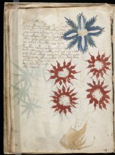 Un murciano descifra el Manuscrito Voynich por primera vez