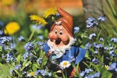 Los gnomos y los duendes, grandes cuidadores del jardín, según 