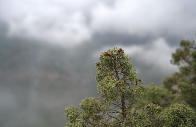 Sierra Espuña