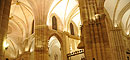 Inauguración alumbrado interior de la Catedral